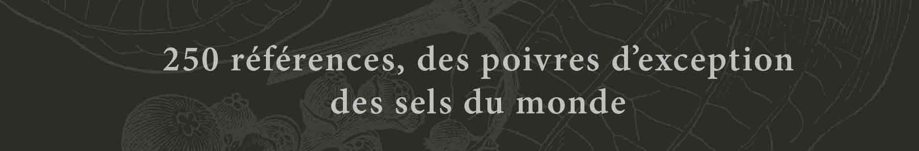 SELS Place des Epices