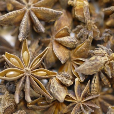 Anis étoilé badiane bio pain d’épices Ras el Hanout Garam Masala