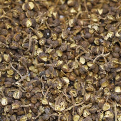 Batak sumatra pepper berry indonesia lemongrass arise