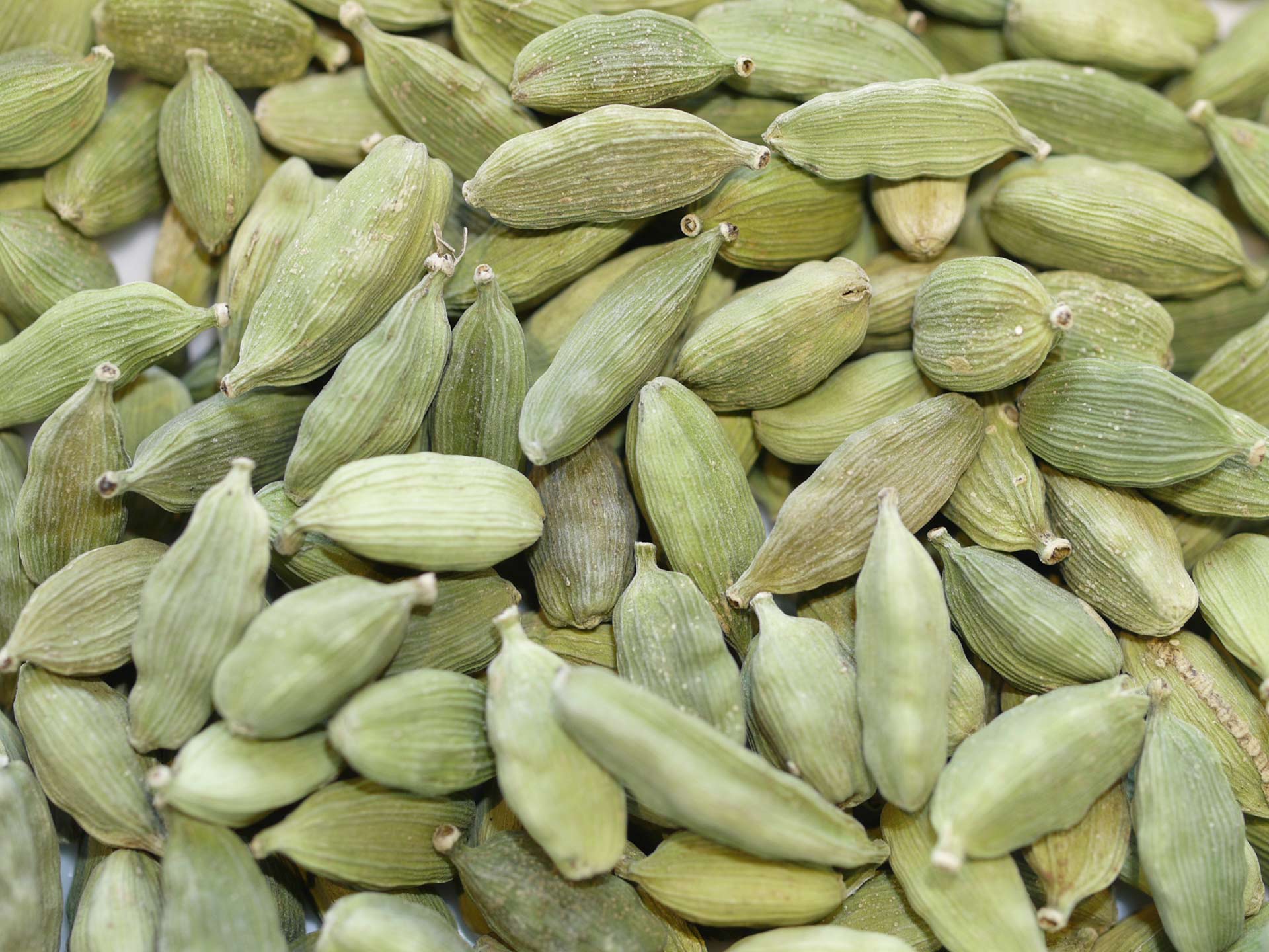 Cardamome verte bio – Oasi delle Spezie