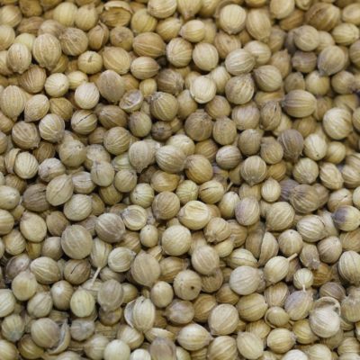 Organic coriander seed Ras el Hanout Garam Masala