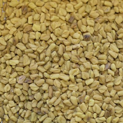 Organic Fenugreek seeds Ras el Hanout Garam Masala Curry India