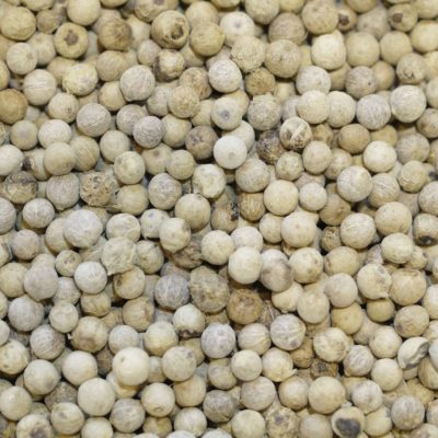 Poivre blanc de Malabar Inde cote ouest Kerala piper Nigrum MG1