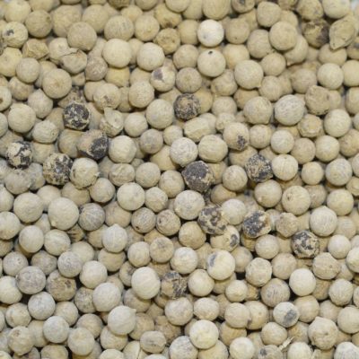 Indonesia white pepper