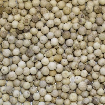 Indonesia white pepper