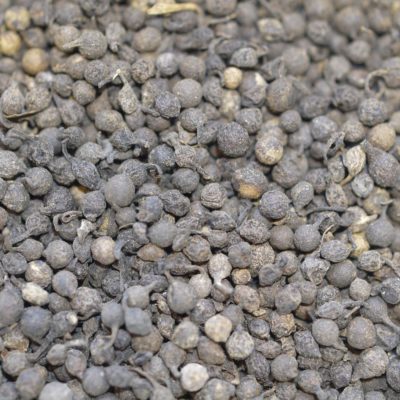 Congo Likouala black pepper