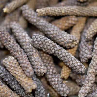 Long pepper java indonesia piper longum