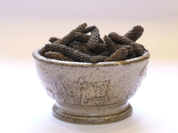 Long pepper java indonesia piper longum