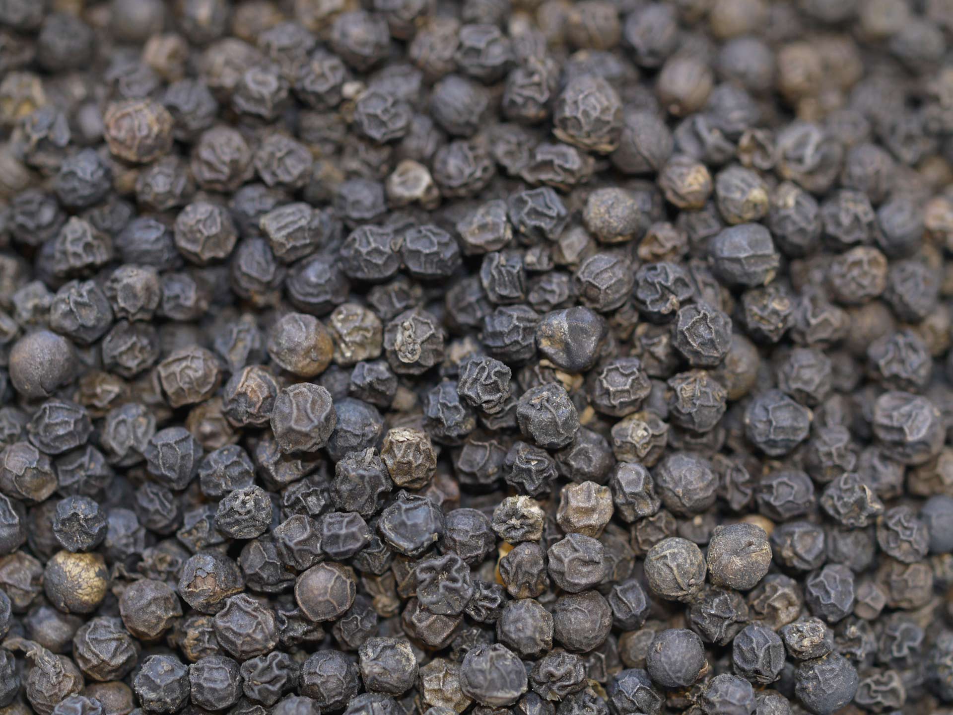 Poivre noir de Madagascar piper Nigrum 50 gr - Epiceslekanto