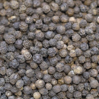 Malabar black pepper India west coast Kerala piper Nigrum MG1