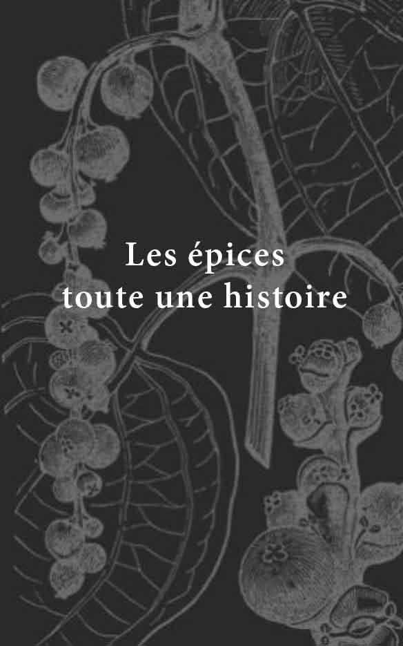 histoire des épices en plusieurs épisodes les grandes découvertes maritimes indes egypte