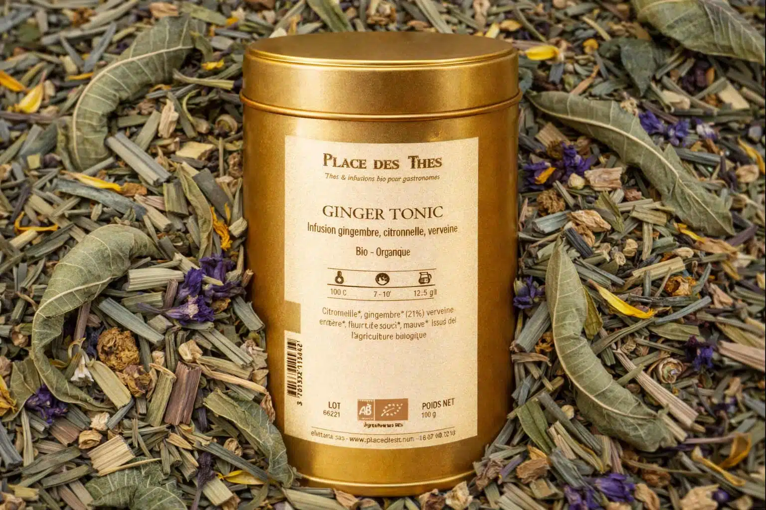 Montage-ginger-tonic-bio ► Place des Epices