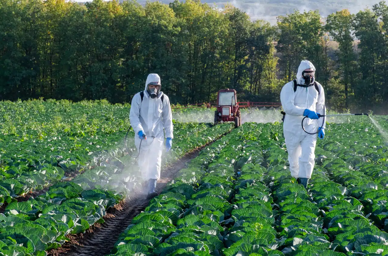 Pesticides interdits ► Place des Epices Pesticides interdits