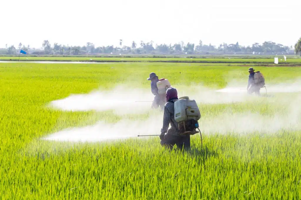 Pesticides interdits