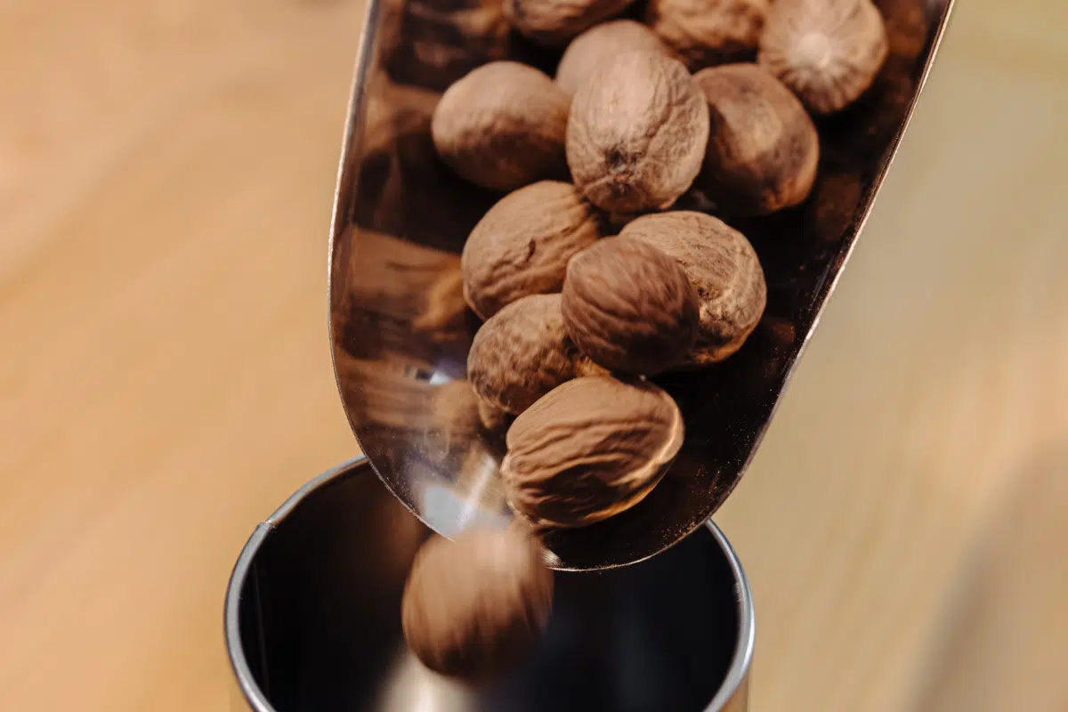 Noix de muscade Bio ► Place des Epices Close-up of a metal scoop spilling whole walnuts into a dark metal container