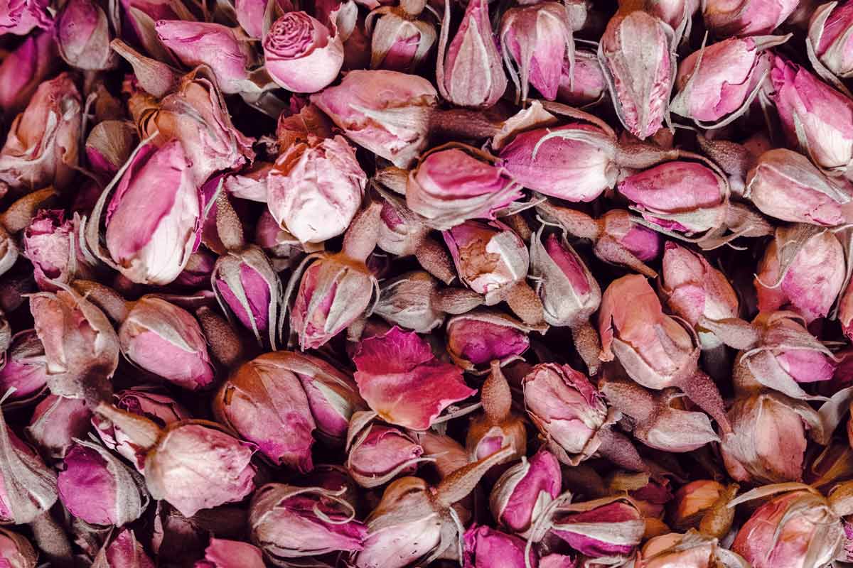 Boutons-de-rose-de-damas-ROSEDAMAS ► Place des Epices Boutons de rose de damas bio