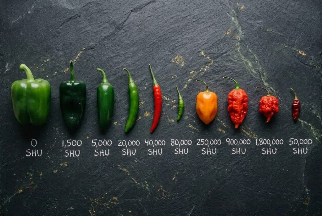Piment echelle de scoville ► Place des Epices Piment echelle de scoville